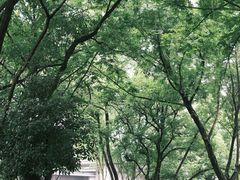 -怪咖·joker陈楠