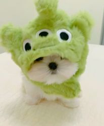 -Oasis Beauty水磨坊科技美肤中心