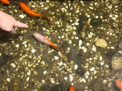 -邈墨茶馆(凤起路店)