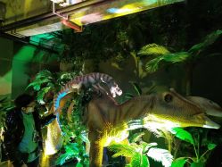 -恐龙探索乐园(磁器口店)