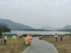 -风云岭森林公园