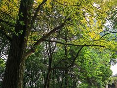 -金堂县云顶石城风景区
