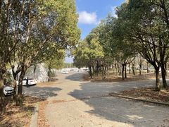 -胜华驾校·小猫学车(银都店)