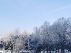 -吉林大学(南岭校区)