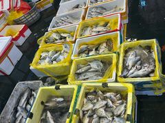 -海峡水产品交易中心(海鲜交易区)