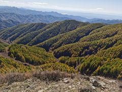 -苏木山森林公园