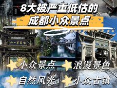 -熊猫谷