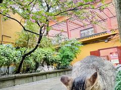 -龙华寺