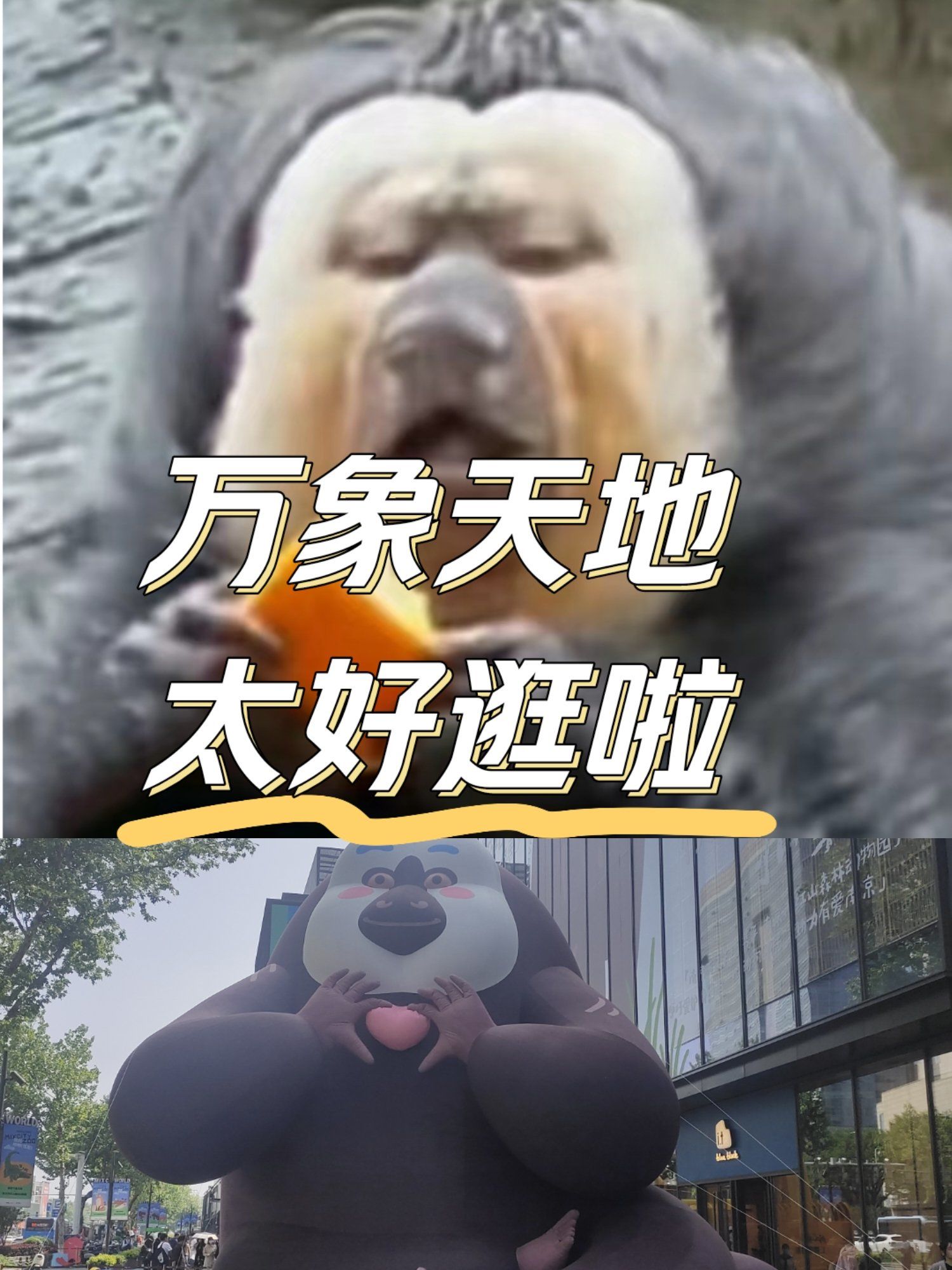 疯狂迷恋杜杜表情包,顶流男明星太可爱啦