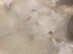 -正能量脆肉鲩火锅