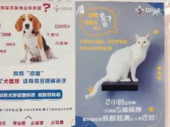 -中农大我爱我爱动物医院·核磁CT·猫病·24小时夜诊中心(石佛营店)