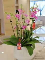 -酉嘉瑜伽YO+YOGA