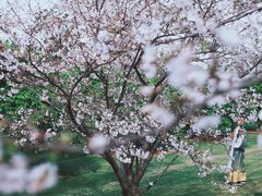 -上海辰山植物园