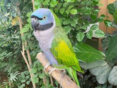 -南宫五洲植物乐园