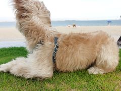 -黄金海岸环岛路