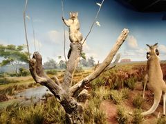 -陕西自然博物馆