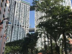 -Ji Xiang Ang Ku Kueh