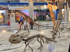 -国家自然博物馆