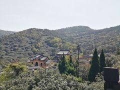 -树山生态村