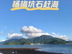 -杨梅坑