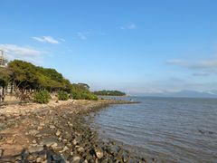 -深圳湾公园(南山区)