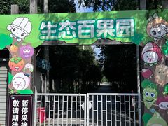 -上海长兴岛郊野公园