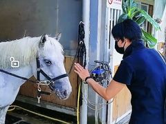 -名驭国际马术学院