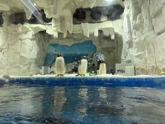 -华夏文旅海洋公园