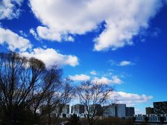 -大兴滨河森林公园