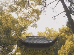 -杭州黄龙洞