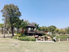 -海珠儿童公园
