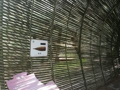 -北海金海湾红树林生态旅游区