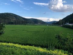 -南泥湾风景区
