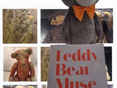 -济州岛泰迪熊博物馆