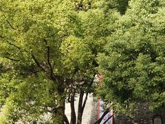 -鼓楼(西湖风景名胜区)