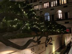 -伯衡55·吉品轩(乌鲁木齐南路店)