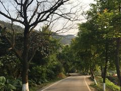 -广州市石门国家森林公园
