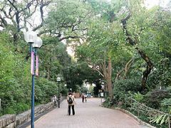 -九龙公园