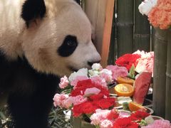 -杭州动物园