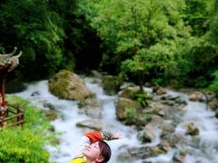-西岭雪山大飞水景区