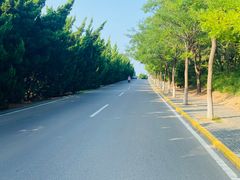 -养马岛旅游度假区