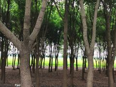 -嘉北郊野公园
