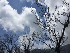 -牛背梁国家森林公园