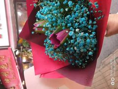 -循礼门鲜花花市(武汉循礼门店)