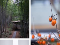 -竹上云想餐厅民宿