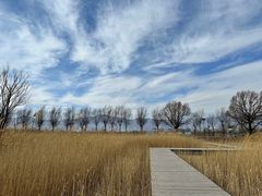 -野鸭湖国家湿地公园