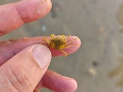 -那香海钻石沙滩浴场