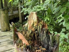 -桤木河湿地公园