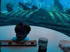 -OSSIANO奥西亚诺海底餐厅