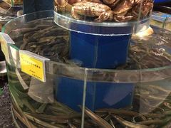 -新海渔港·胶东海鲜家常菜·家宴(奥体中心店)
